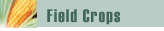 Field Crops